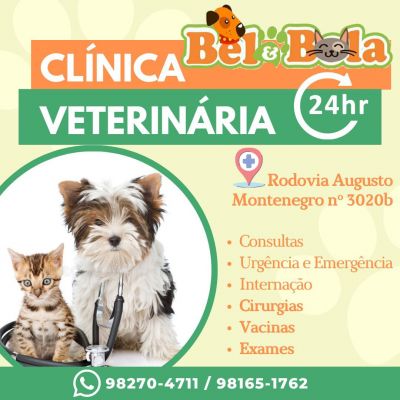 "Clínica Veterinária - Pet Bel & Bola"