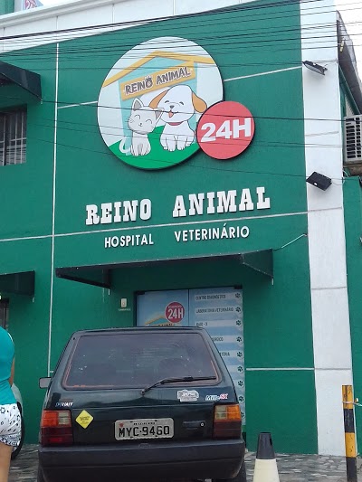 CLÍNICA VETERINARIA REINO ANIMAL em São Gonçalo do Amarante - RN |  