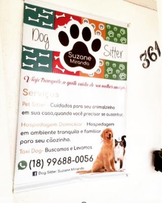 "Dog Sitter Suzane Miranda"